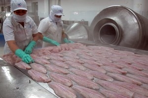 VASEP US new antidumping tax on tra fish unreasonable